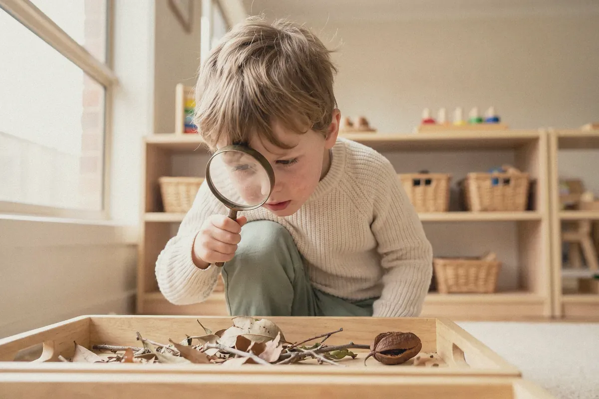 A boy looking at leaves through a magnifying glass